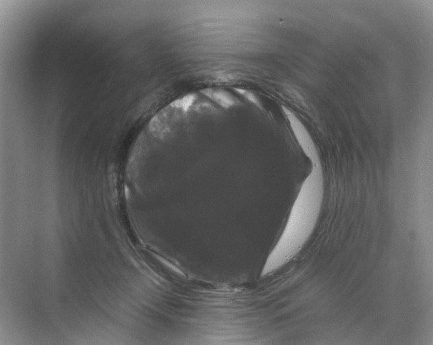 X0000070170366200606162102