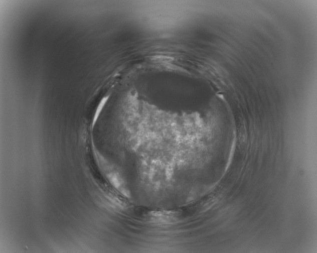 X0000070170367200606162102