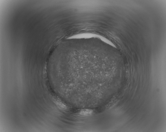 X0000070170369200606162102