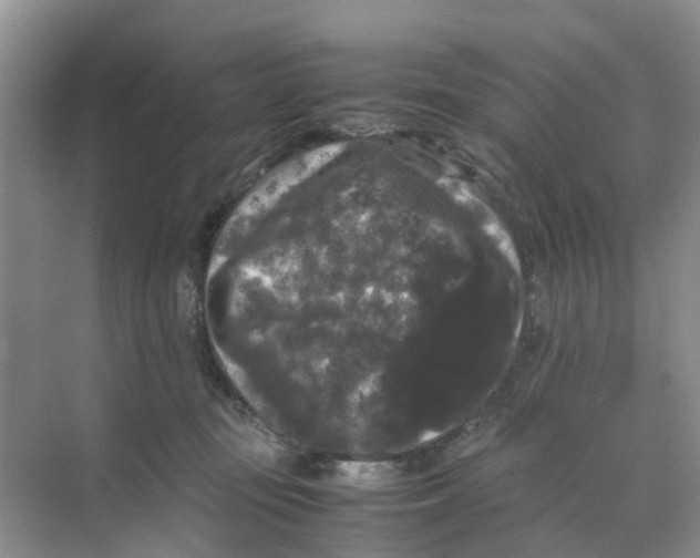 X0000070170371200606162102