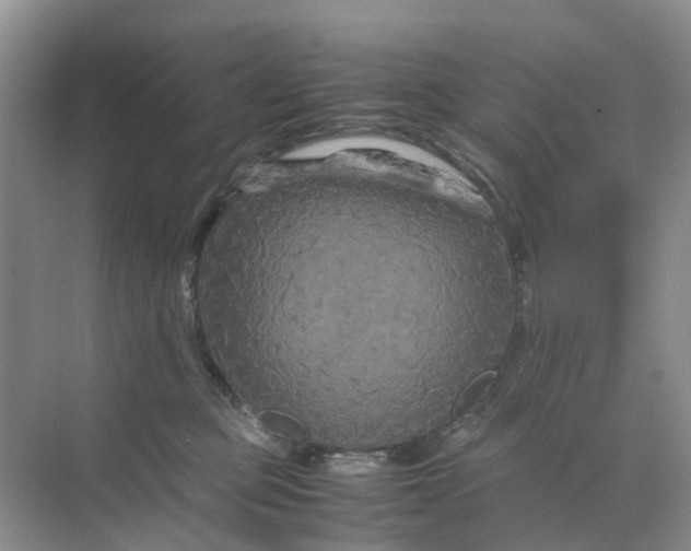 X0000070170373200606162102