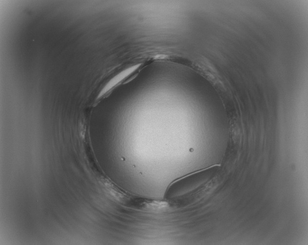 X0000070170374200606162102