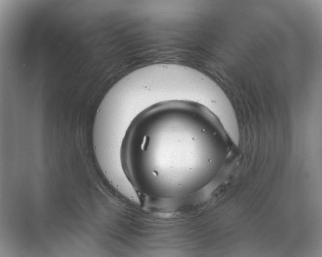 X0000070170375200606162102