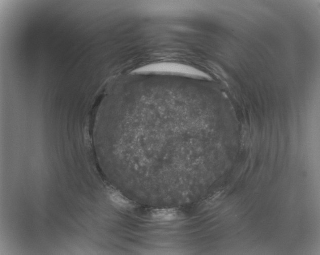 X0000070170377200606162102