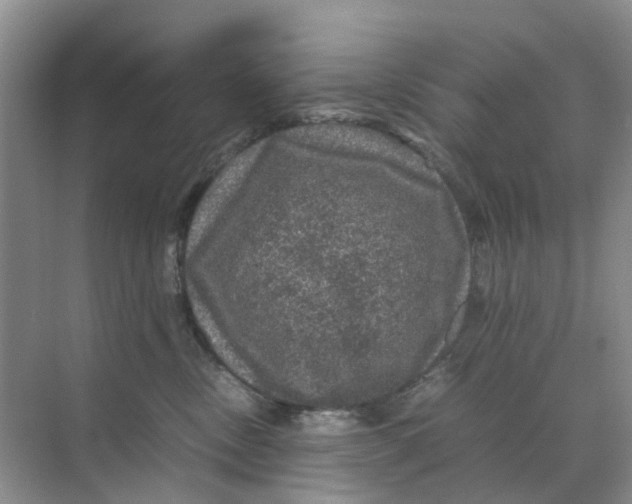 X0000070170378200606162102