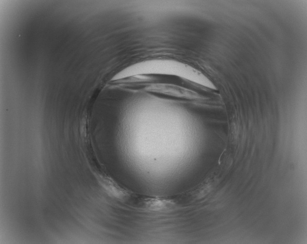 X0000070170379200606162102