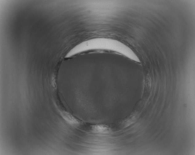 X0000070170380200606162102