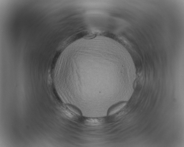 X0000070170381200606162102