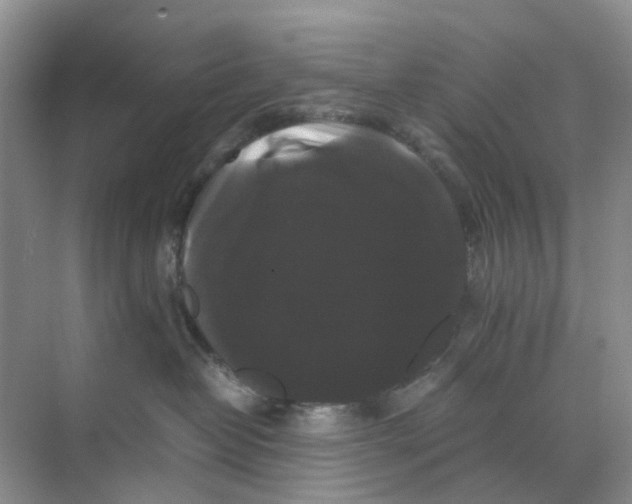 X0000070170382200606162102