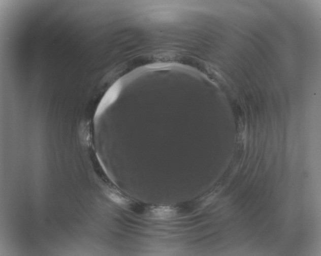 X0000070170383200606162102