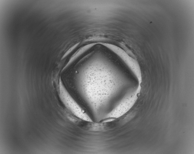 X0000070170384200606162102