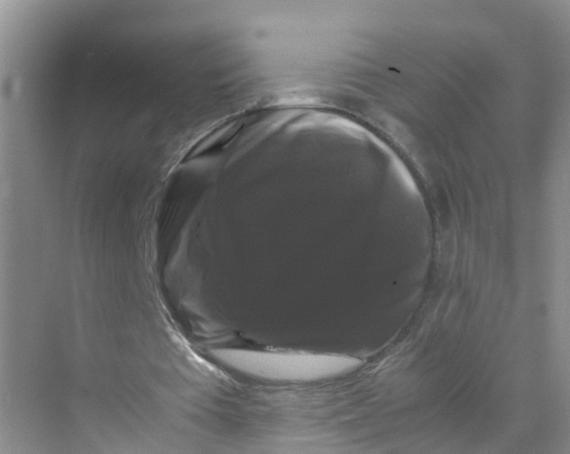 X0000070170385200606162101