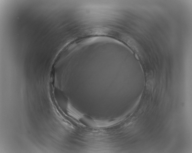 X0000070170386200606162101