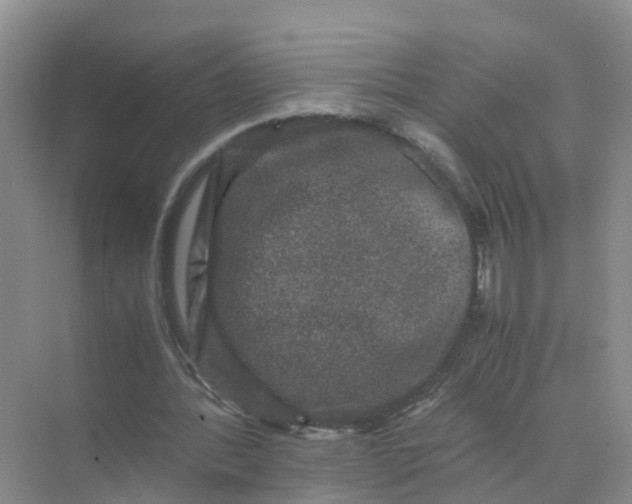 X0000070170388200606162101