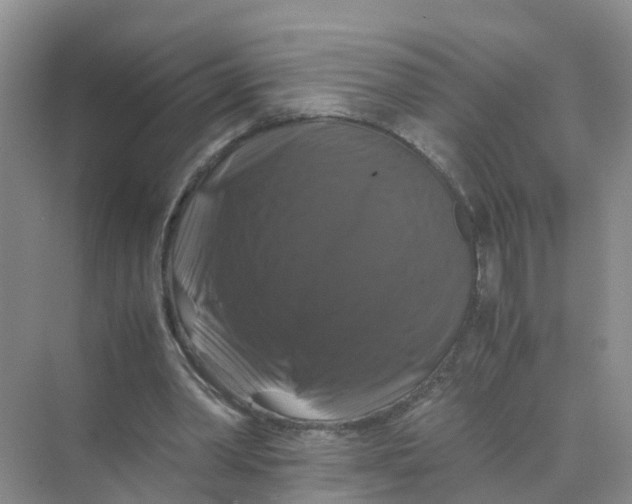 X0000070170390200606162101