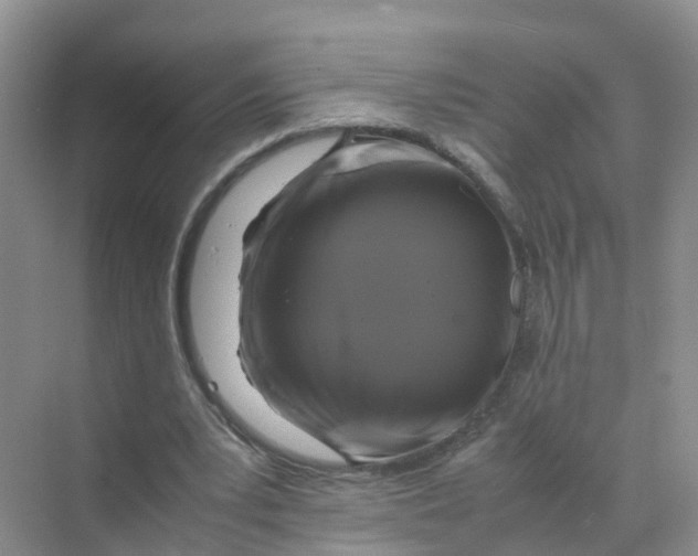 X0000070170391200606162101