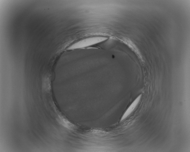 X0000070170393200606162101