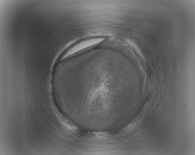 X0000070170395200606162101