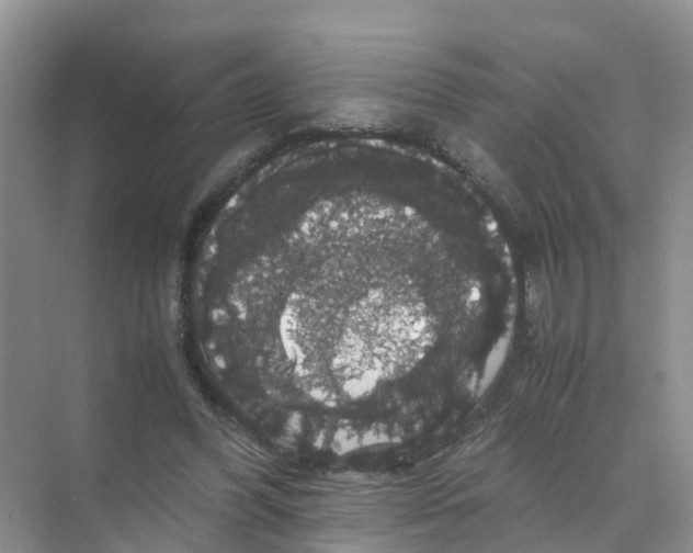 X0000070170396200606162101