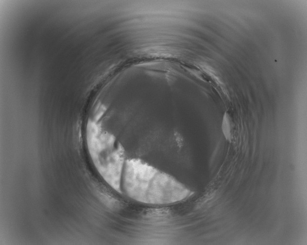 X0000070170398200606162101