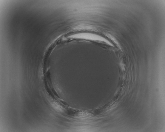 X0000070170399200606162101