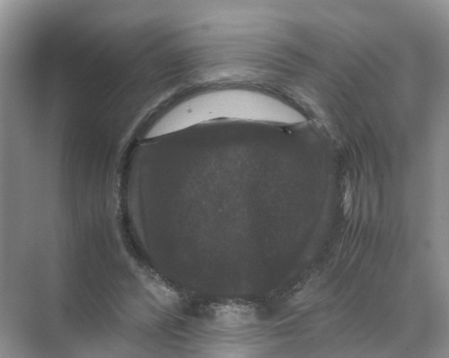 X0000070170400200606162101