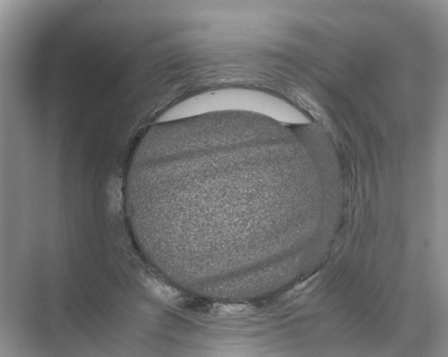 X0000070170401200606162101