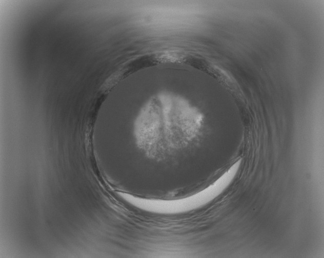 X0000070170409200606162101