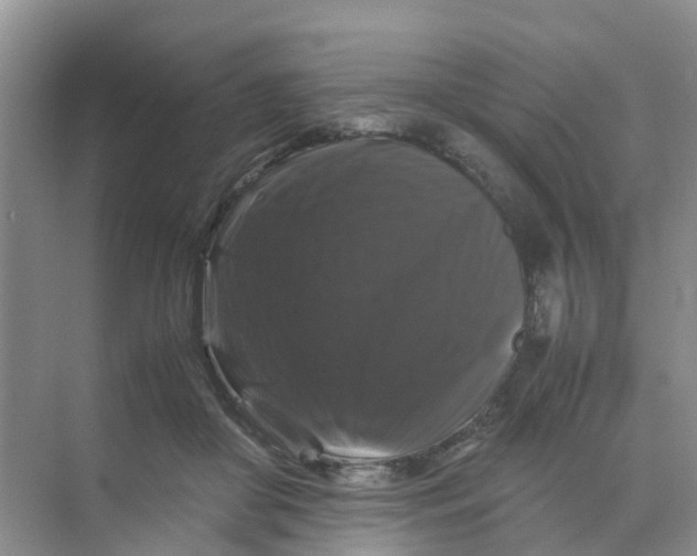 X0000070170410200606162101