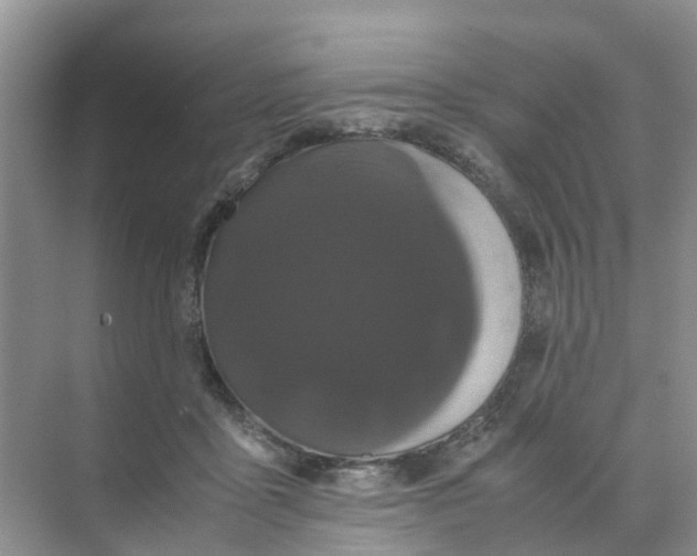 X0000070170411200606162101