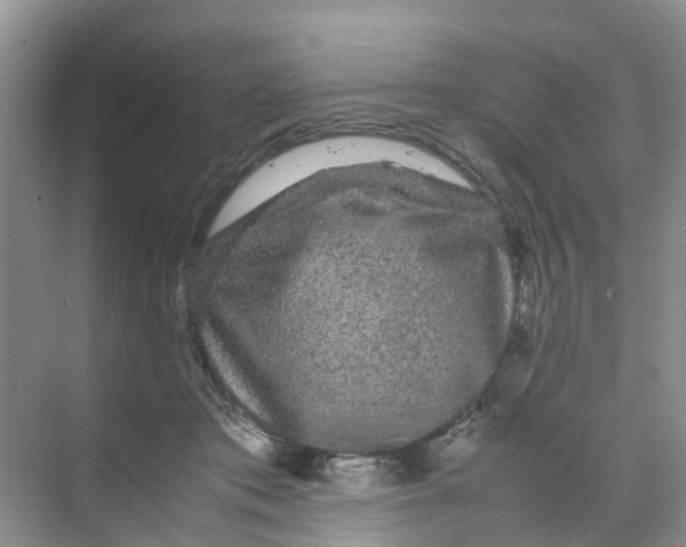 X0000070170413200606162101