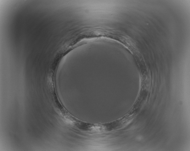 X0000070170415200606162101