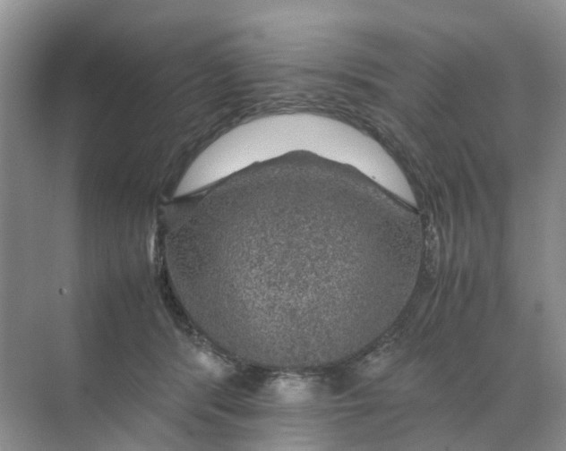 X0000070170416200606162101