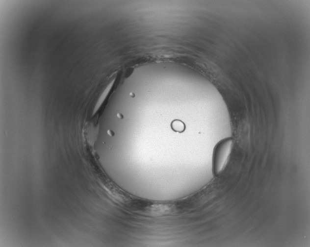 X0000070170418200606162101