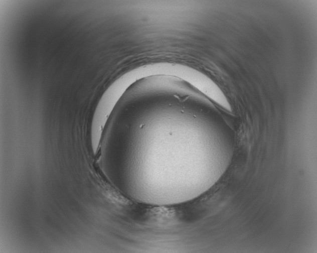 X0000070170421200606162101