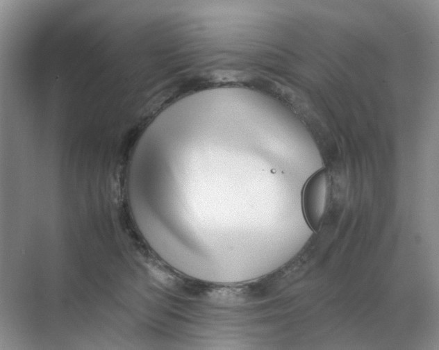 X0000070170422200606162101