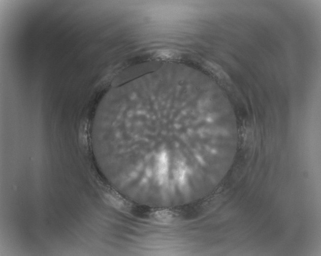 X0000070170423200606162101