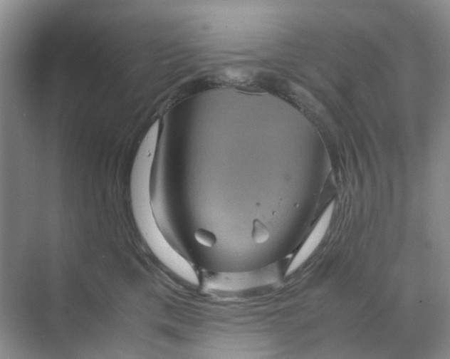 X0000070170425200606162101