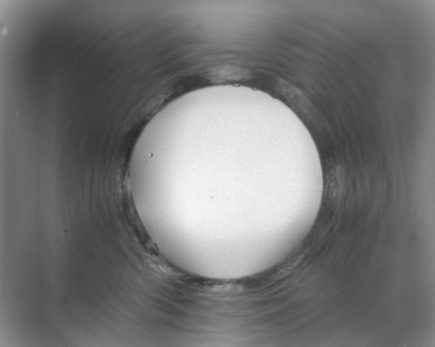 X0000070170426200606162101