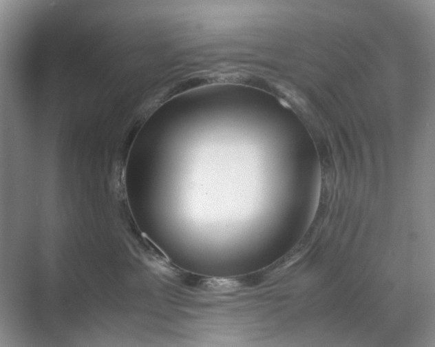 X0000070170429200606162101