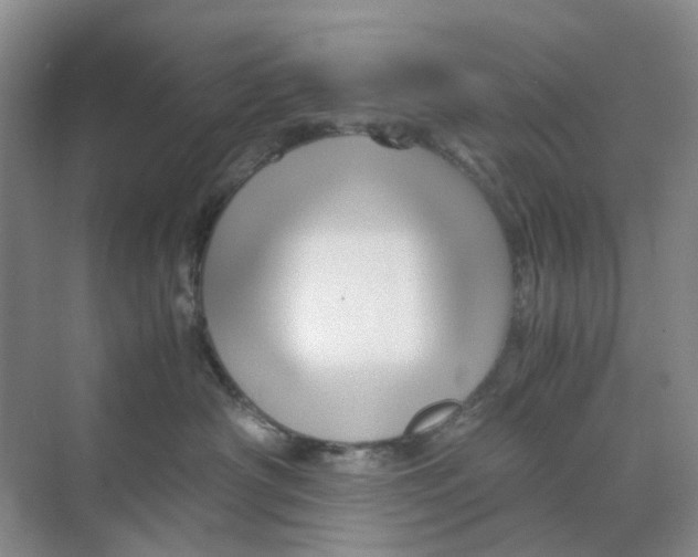 X0000070170430200606162101