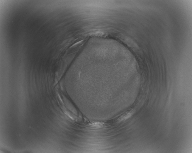 X0000070170432200606162101