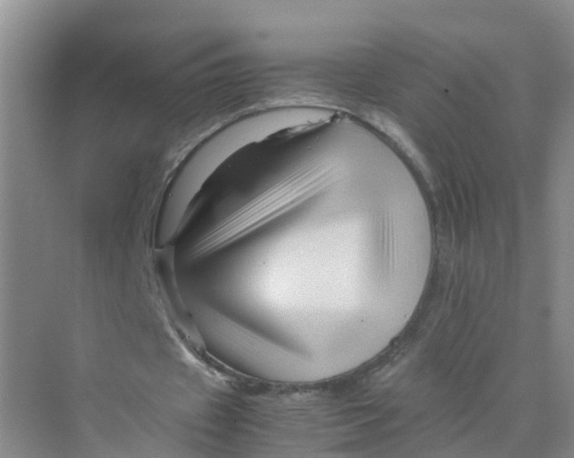 X0000070170433200606162100