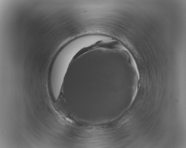 X0000070170434200606162100