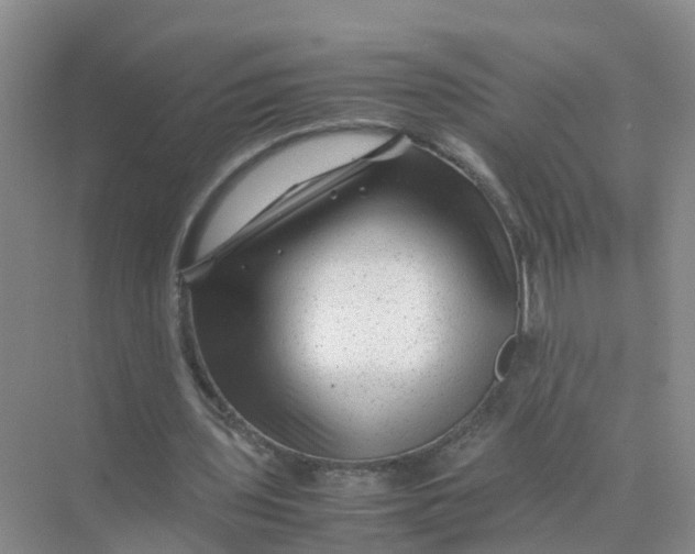 X0000070170435200606162100