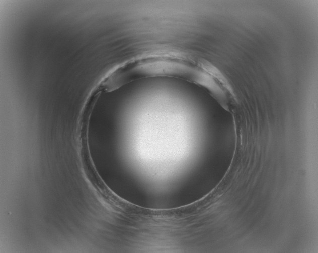 X0000070170436200606162100