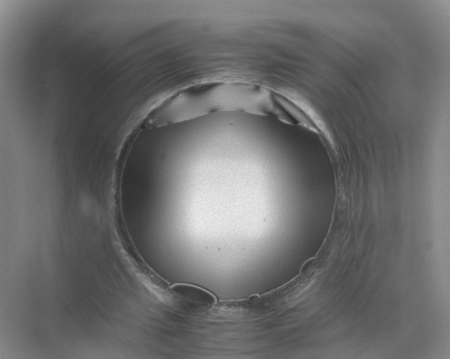 X0000070170437200606162100