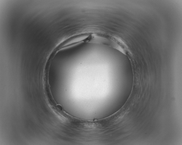 X0000070170439200606162100