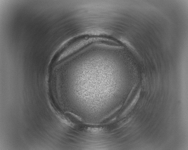 X0000070170440200606162100