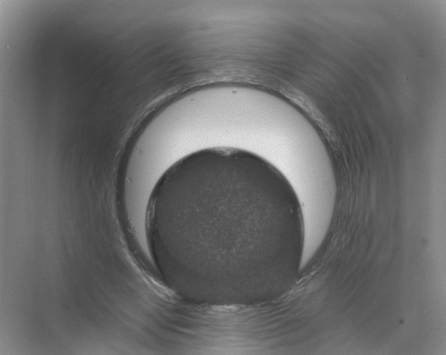 X0000070170442200606162100